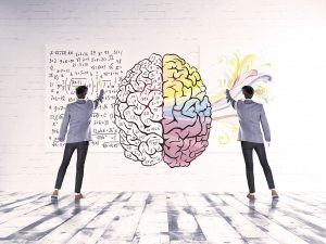 NEUROEDUCACION-jerez