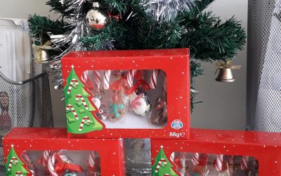 ¡Llegó la Navidad! ¡Los Reyes Magos se han adelantado!