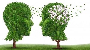 intervención neuropsicológica del alzheimer jerez