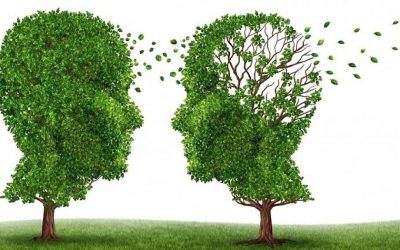 Señales de advertencia e intervención neuropsicológica del Alzheimer.
