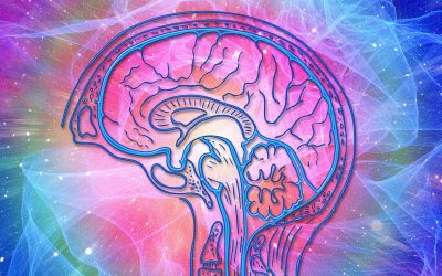 Cómo hacer frente a distorsiones cognitivas.